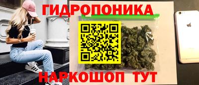 амф Обь