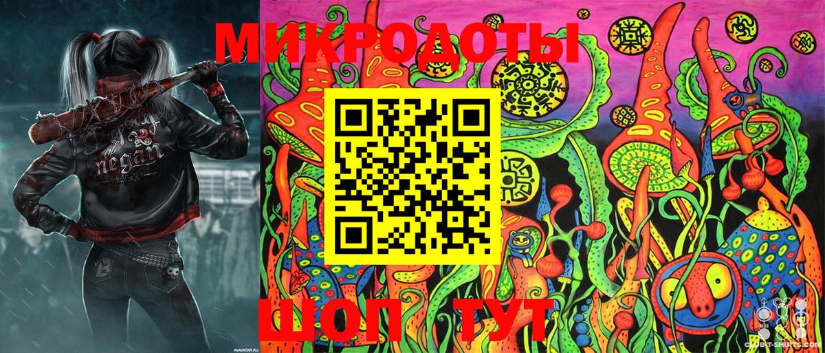 Псилоцибиновые грибы Psilocybe Сухой Лог
