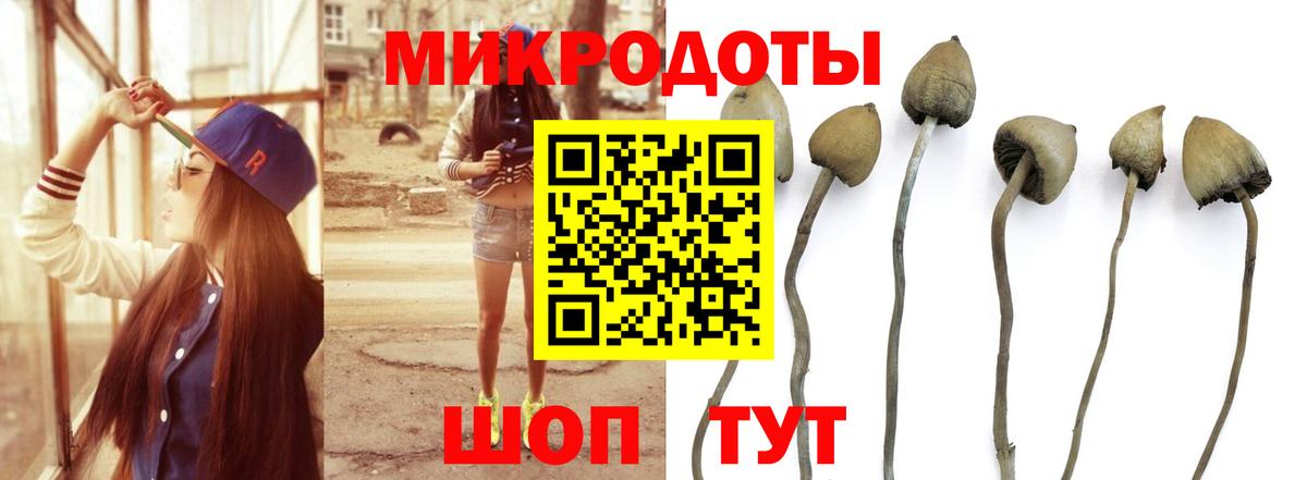Галлюциногенные грибы мицелий  Псилоцибиновые грибы мицелий  Вход с VPN  Сухой Лог 